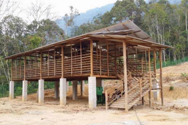 cara ternak kambing kandang kambing
