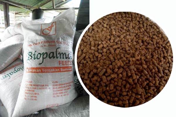makanan kambing selain rumput pellet kambing