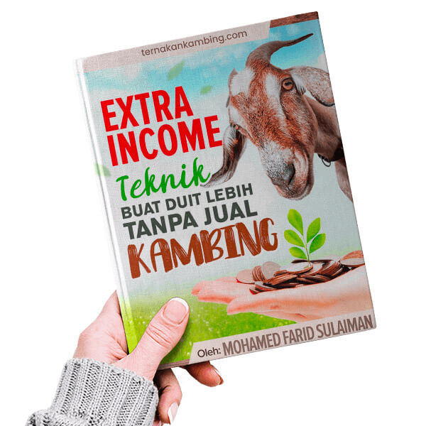 ternak-kambing-img002