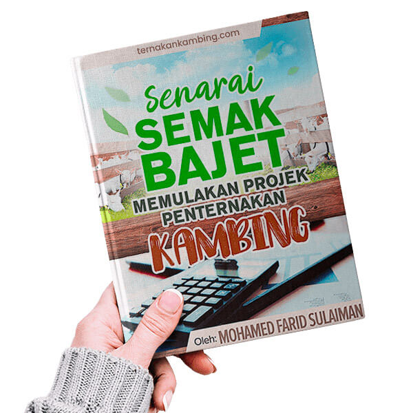 ternak-kambing-img004