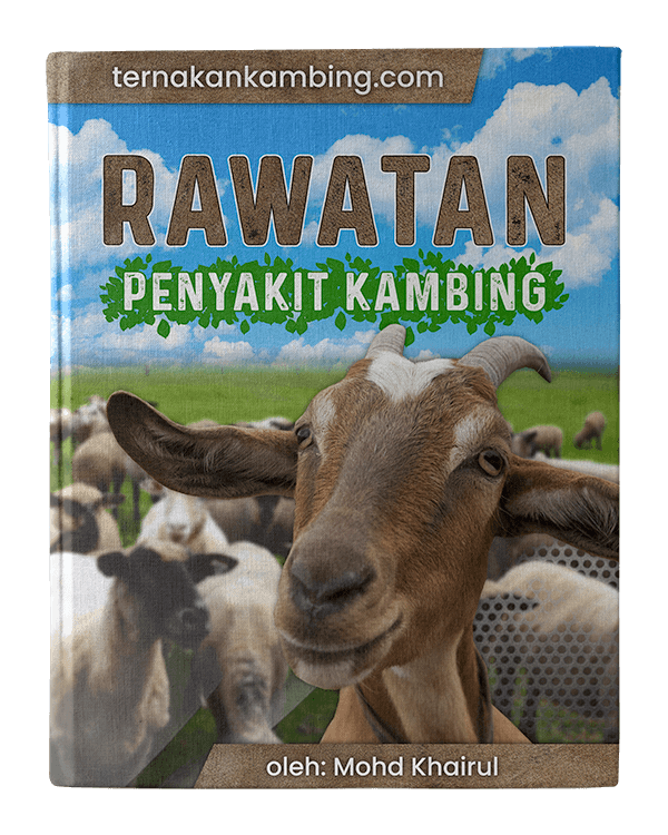 ebook rawatan kambing