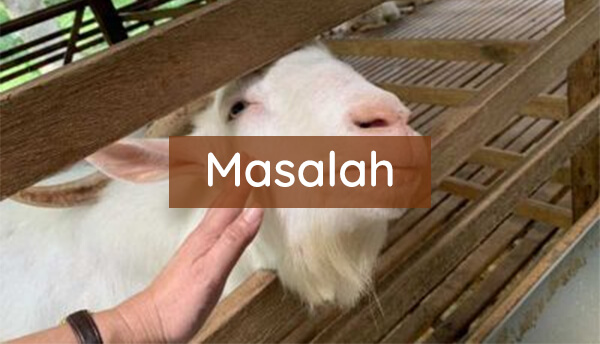 masalah