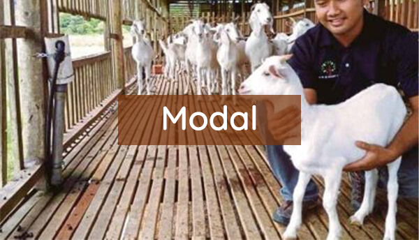 modal