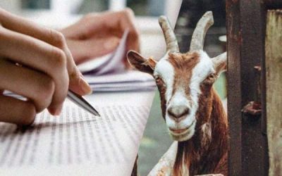 Kertas Kerja Ternakan Kambing Mudah Lulus Tahun Ini